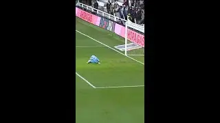 Pero LARRUBIA 😳