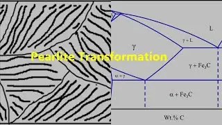 Pearlie Transformation