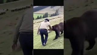 Man Escapes a Wild Bear Attack! 😱 | Real Forest Encounter #Shorts&rdquo;
