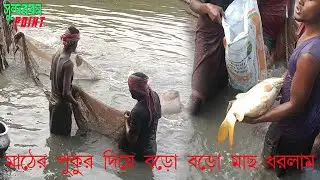 দ্বিতীয় দিন আমাদের মাঠের পুকুর দিয়ে বড়ো বড়ো মাছ ধরলাম জাল টানা দিয়ে || Sundarban Point