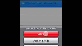 👉Bridge And Safari Download Manager👈