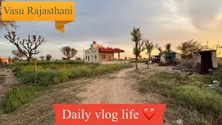 Daily vlog life in village ❤️