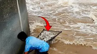 HEBOH‼️ PINTU AIR BENDUNG DIBUKA — WARGA PANEN IKAN GILA-GILAAN Pakai Alat Sederhana