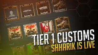 T1 customs stream
