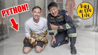 I got wrapped up by a PYTHON! งู หลาม