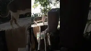 hi jaypee napaka Ganda kona ngayon
