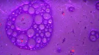 Macro Fluid Dynamics 1630