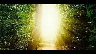 A Big Study Results In The First Signs of An Afterlife - Reminder There Is NO DEATH!