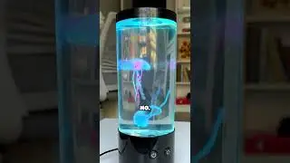 top 5 coolest items of 2024