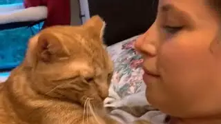 This Timid Cat&rsquo;s Transformation Will Make You Smile