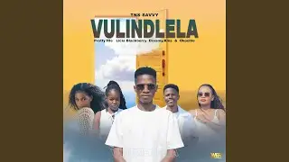 Vulindlela (feat. Pretty Hle, Dreamy.Kins, Licia Blackberry & Okoohle)
