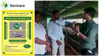 Vetcare Vijetha supplement Plus# Farmer feed back about sericare company  product