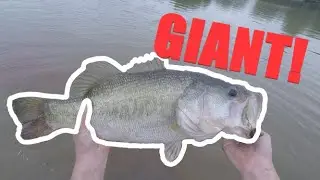 I CAUGHT A GIANT!!//Bed Fishing for Largemouth Bass Spring 2020