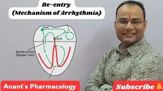 Re-entry Mechanism of Arrhythmia