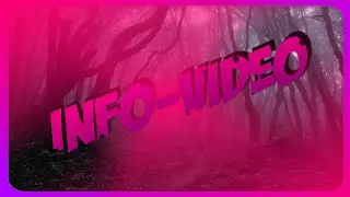 INFOVIDEO LittleSchnuller