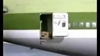 Party Flight