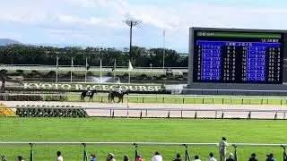 炎のウイナーに乗せて本馬場入場🐴