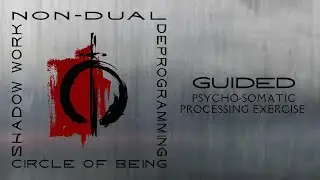 Somatic processing of emotions & meanings about an ongoing painful pattern (guided process)