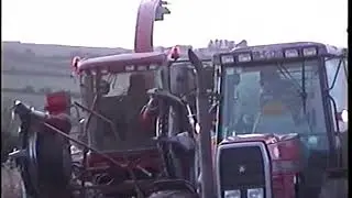 Case IH cutting maize