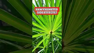 DOES SAW PALMETTO CAUSE SEXUAL SIDE EFFECTS? (NOT FINASTERIDE)