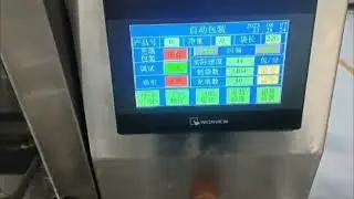 Linear Weigher Packing Machine / Detergent Powder Packing Machine