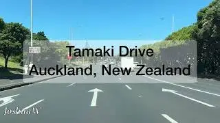 New Zealand Traffic-Tamaki Drive, Auckland 