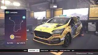 Causing chaos in WRC
