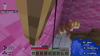 Minecraft hardcore part 2