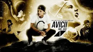 Avicii Tim Berlinger Interview 2016
