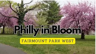 Walk through West Fairmount Park