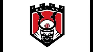Boxing Stance