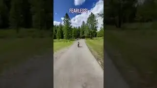Она улетела! 😅 @Thatmountainlife