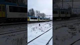 Awaryjne zatrzymanie EN57 na szlaku #train #trainspotting #en57 #kolej