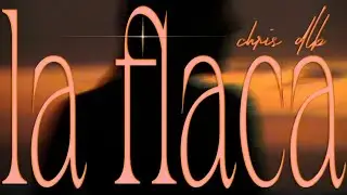 Chris DLB - LA FLACA (Official Video)