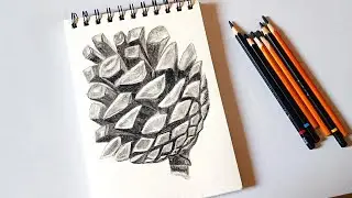 How to Draw a Pinecone | Easy Realistic Charcoal Drawing for Beginners