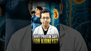 Is Whey Protein Safe for Kidney&rsquo;s ? | Dt.Bhawesh | #diettubeindia #dietitian #shorts