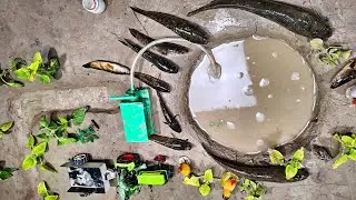 Catch fish creator use mini water pump l how to catch mini fish l catch fish pond pump l catch fish 