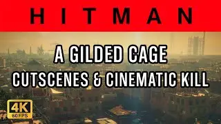 Hitman - Marrakesh - A Gilded Cage - 4K Cutscenes & Kill