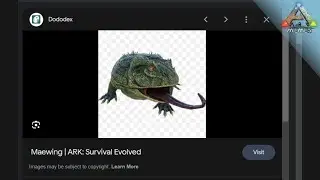Maewing???