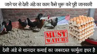 घर से देसी अंडे का बिज़नेस कैसे शुरू करें? | शानदार कमाई का तरीका #poultryfarming