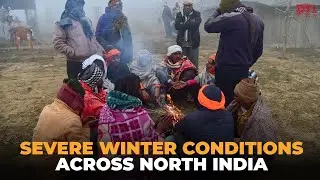 Severe winter conditions and dense fog disrupt life across North India