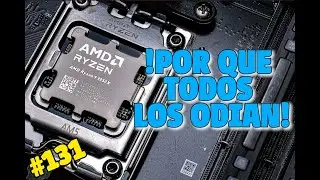 Directo #131 POR QUE todos los odian!? Hoy revisamos al 9950X