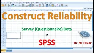 Construct reliability in SPSS