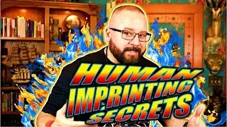 What You Need to Know About Human Imprinting for Understanding the Law of Attraction