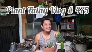 PLANT TATAY VLOG # 475: Fixing some agaves & potting my new cactus haul from Cubao Farmer's Garden