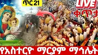 🛑#live_ጥር_21_የአስተርዮ_ማርያም_ማኅሌት ተጀመረ#ቀጥታ_ከእመቤታችን_ማርያም ተአምር ነው#ethiopian#orthodox@batekirekosemedia