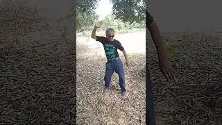 amdhra