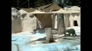 MOV04773