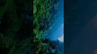 Vietnam 🇻🇳