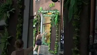 Poland sells Weed, Cannabis Openly! #shortvideo #weed #cannabiseducation #poland #gdansk #travelvlog